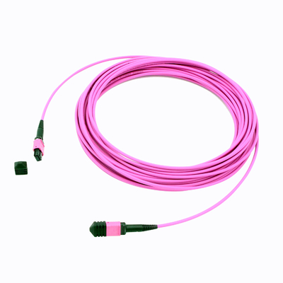 24F 40G Male OM4 MPO cable