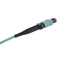 12 Fiber OM3 MPO Trunk Cable Fiber Optic MTP Patch Cord LSZH 1M Type B