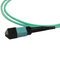 12 Fiber OM3 MPO Trunk Cable Fiber Optic MTP Patch Cord LSZH 1M Type B